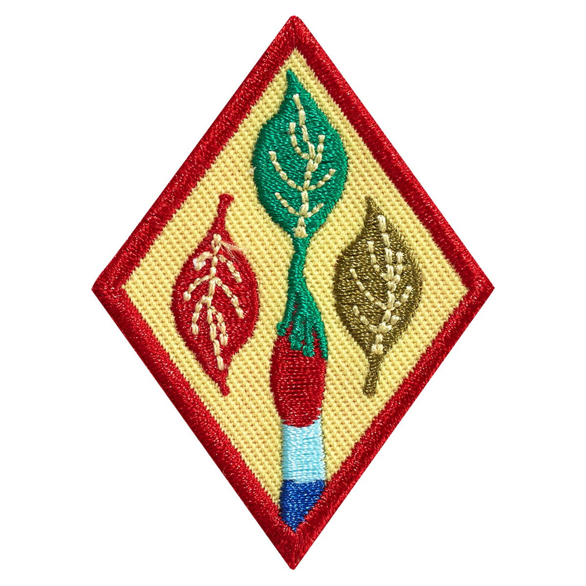 Girl Scouts Cadette Outdoor Art Apprentice Badge Gardena Department Store