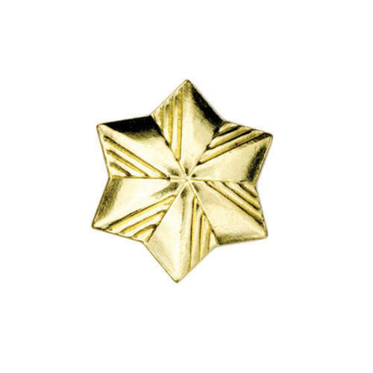 Girl Scouts Membership Star Pin