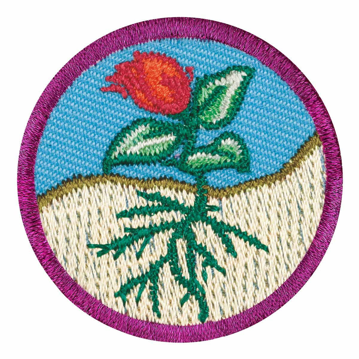 Girl Scouts Junior Flowers Badge