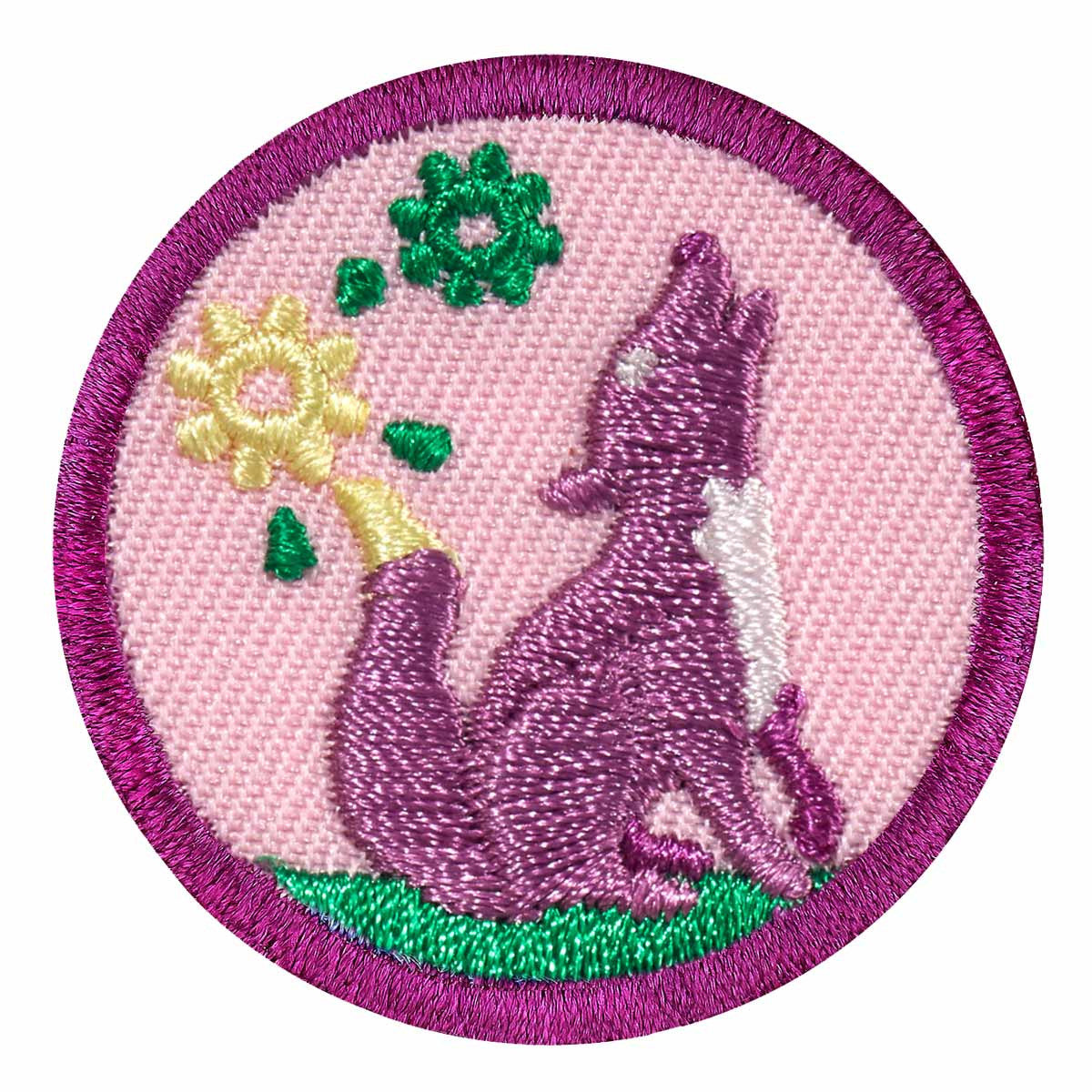 Girl Scouts Junior Outdoor Art Explorer Badge