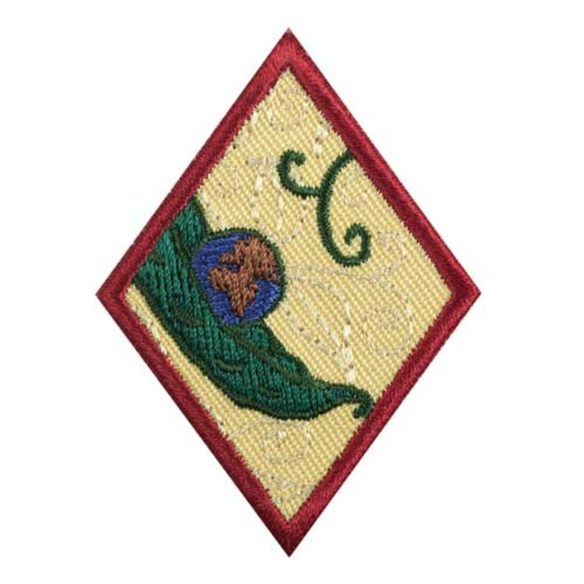 Girl Scouts Cadette New Cuisines Badge