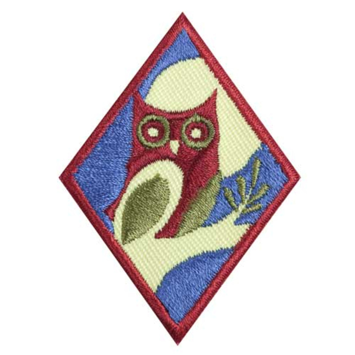 Girl Scouts Cadette Night Owl Badge