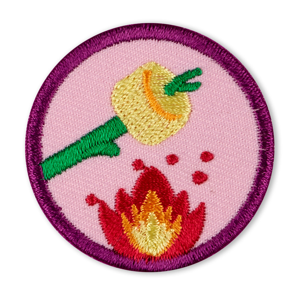 Girl Scouts Junior Eco Camper Badge