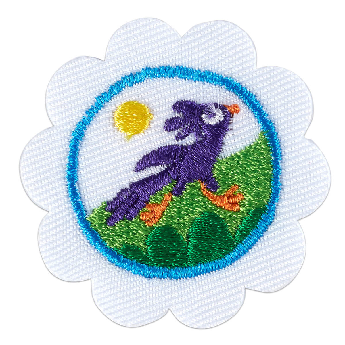 Girl Scouts Daisy Trail Adventure Badge