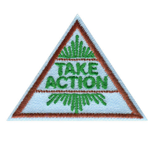 Girl Scouts Brownie Take Action Award Badge