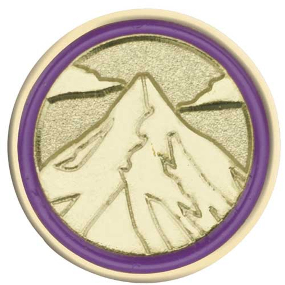 Girl Scouts Junior Journey Summit Award Pin