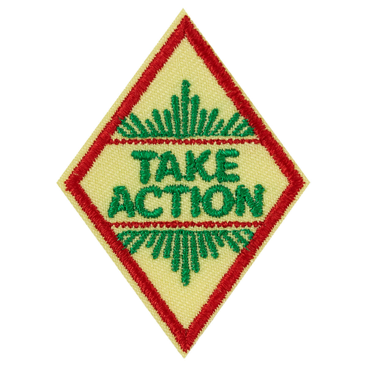 Girl Scouts Cadette Take Action Award Badge